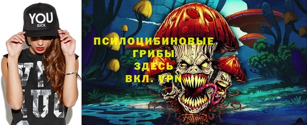СК Беломорск