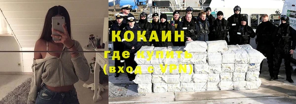мяу мяу мука Белокуриха